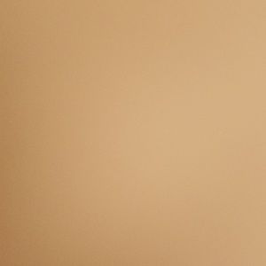 Meet your Posher, Austen